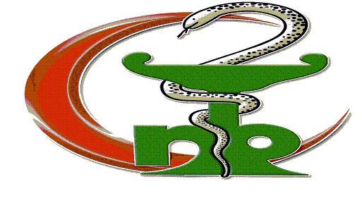 NSMC Logo